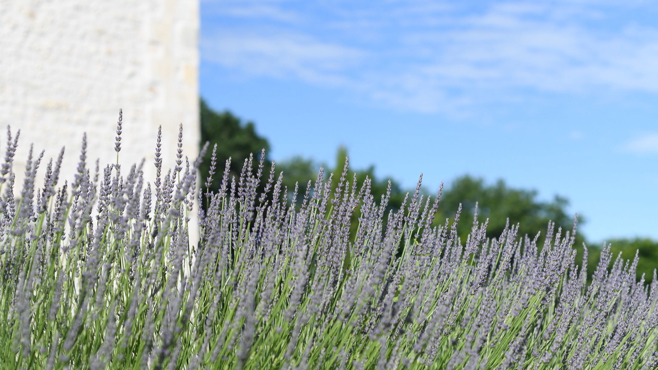 Photo of Outdoor in Reaux