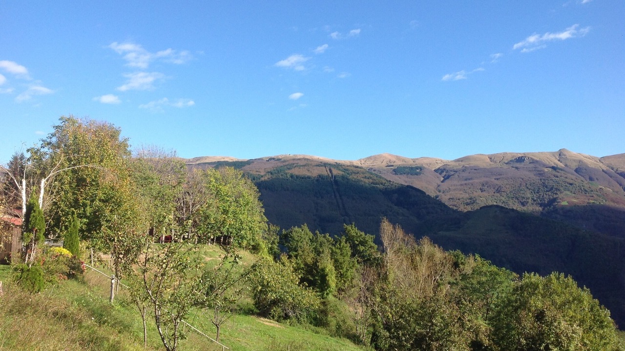 Photo of Outdoor in Cutigliano