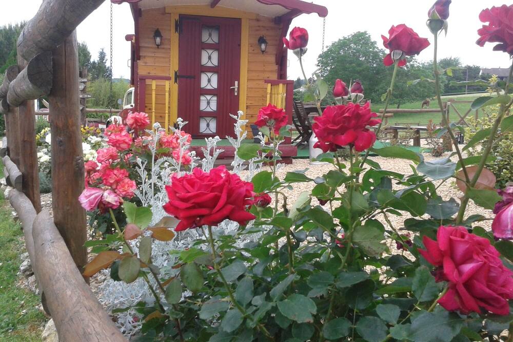 Photo of Outdoor in Vergt