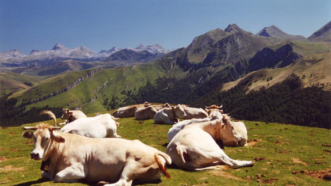 Photo of Outdoor in Saint-Etienne-de-Baigorry