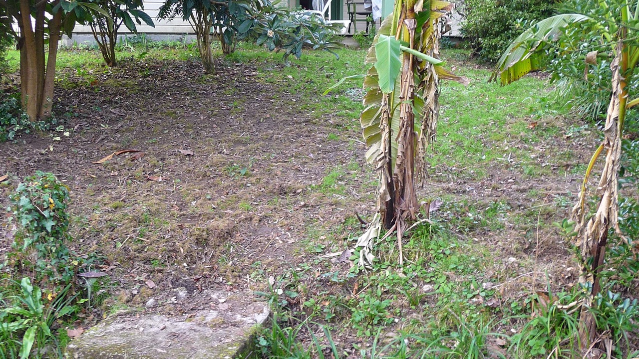 Photo of Outdoor in Eysus