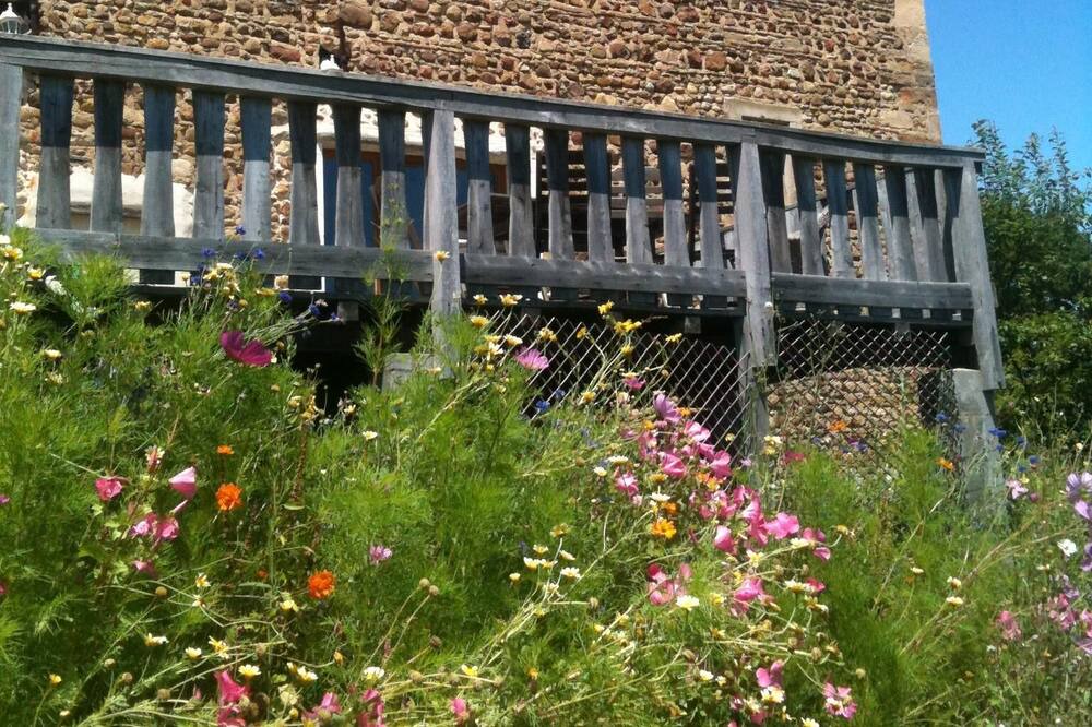 Photo of Outdoor in Lucq-de-Bearn