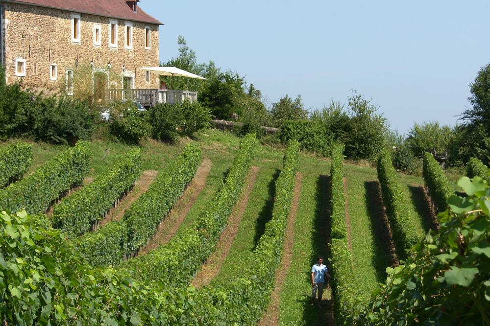 Photo of Outdoor in Lucq-de-Bearn
