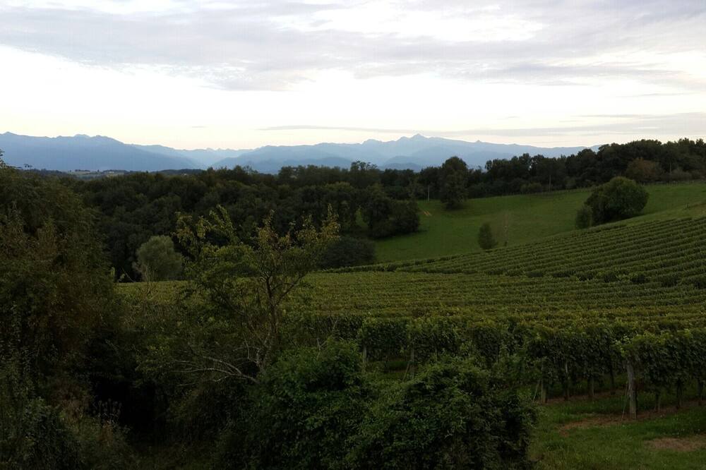 Photo of Outdoor in Lucq-de-Bearn