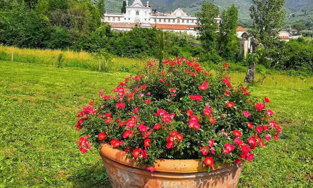 Photo of Outdoor in Calci