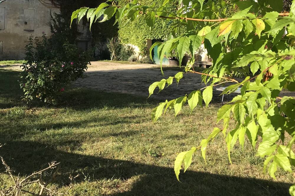 Photo of Outdoor in Bourg-sur-Gironde