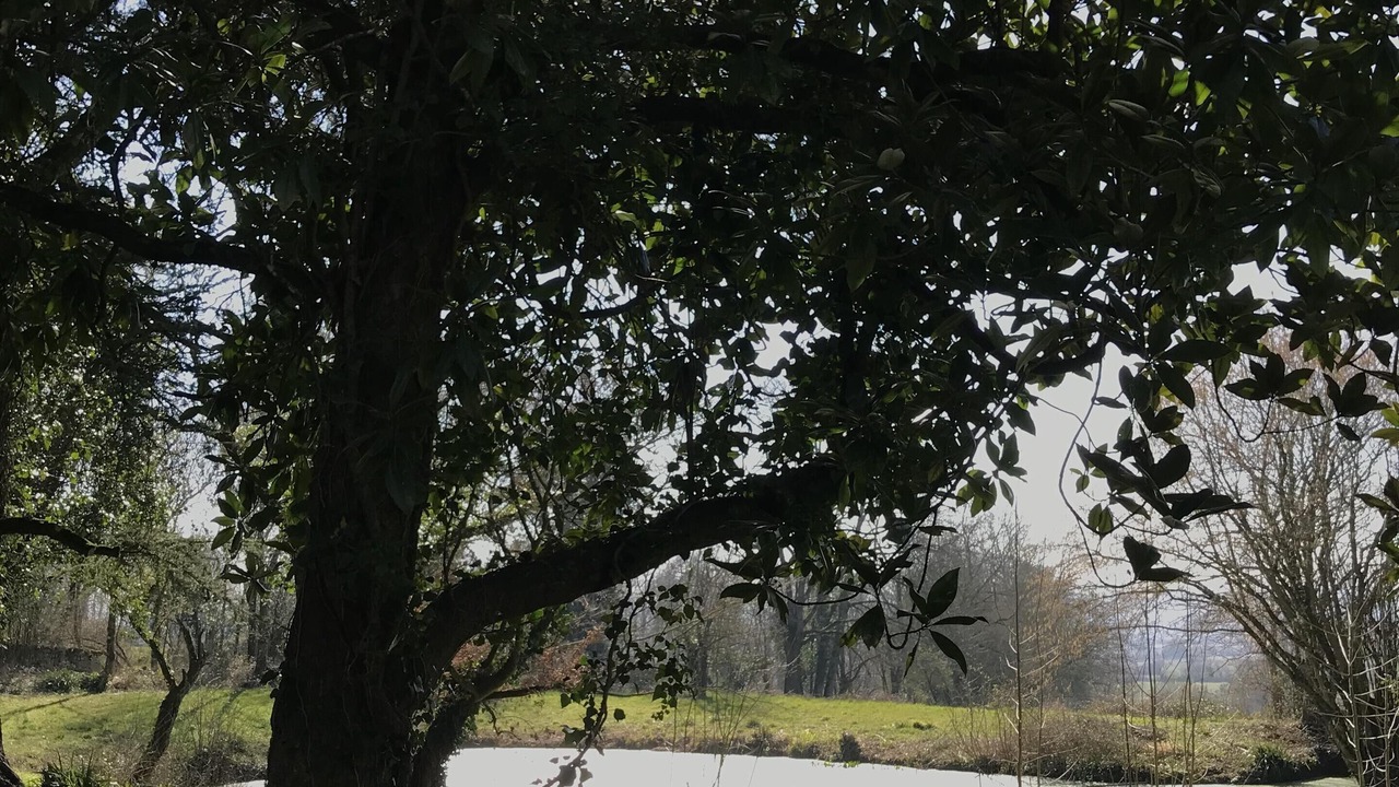 Photo of Outdoor in Saivres