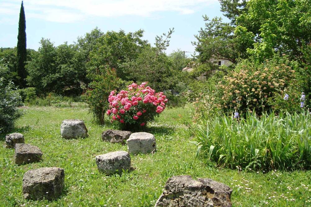 Photo of Outdoor in Prayssas