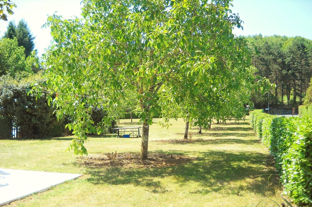 Photo of Outdoor in Beynac-et-Cazenac