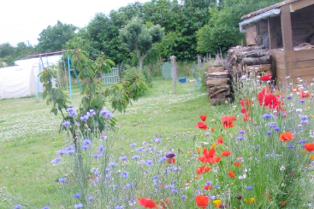 Photo of Outdoor in Tonnay-Charente