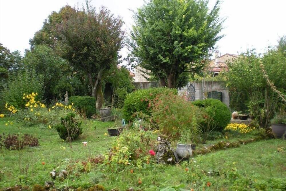 Photo of Outdoor in Souvigne