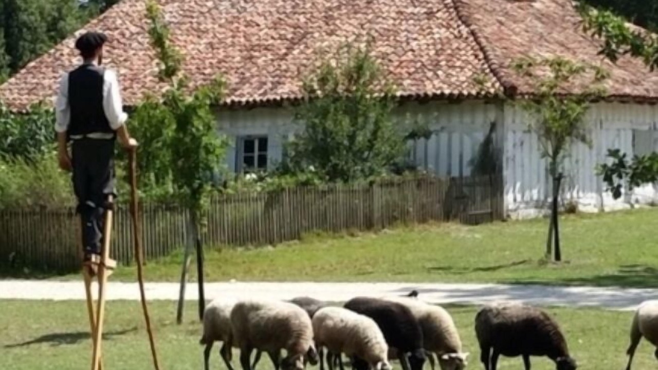Photo of Outdoor in Moustey
