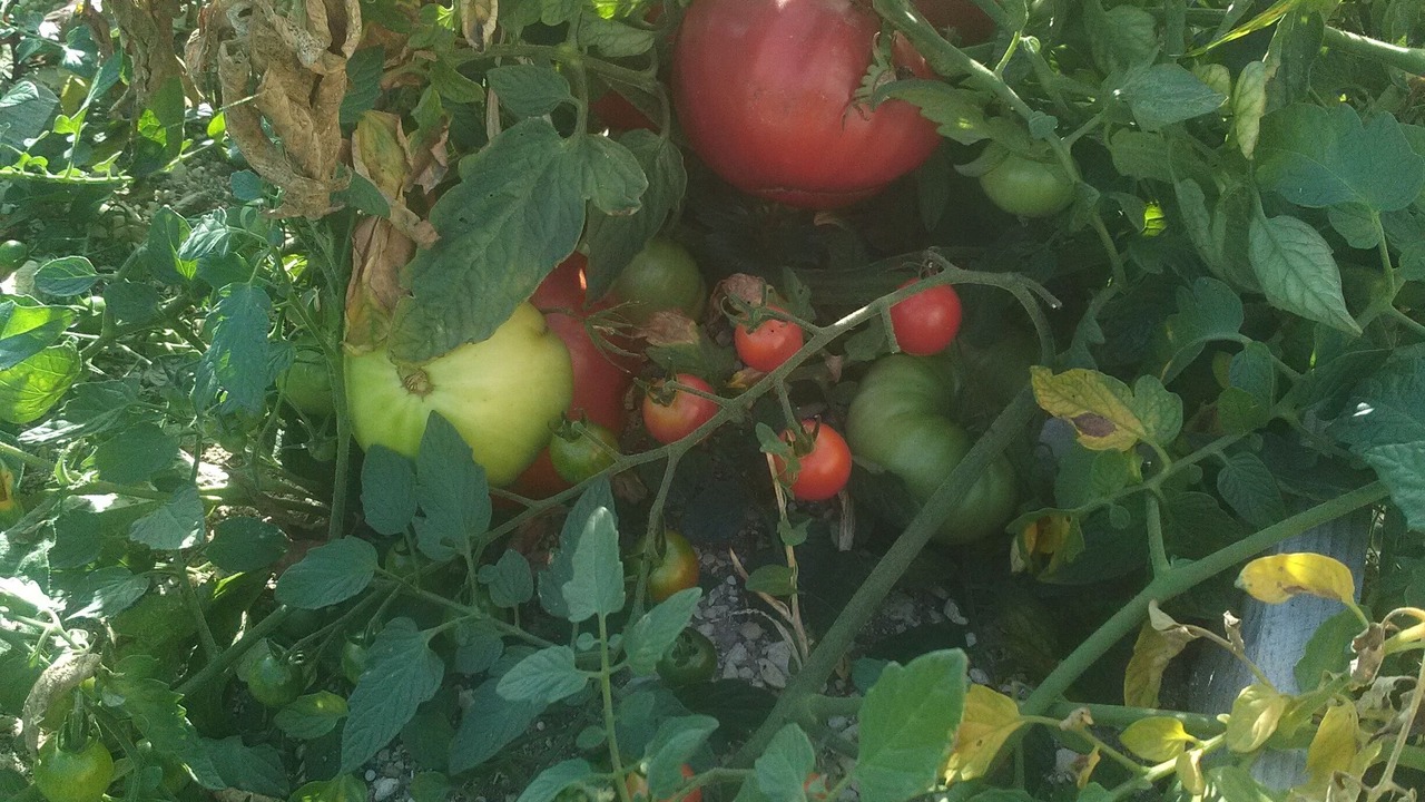 Photo of Outdoor in Leoville