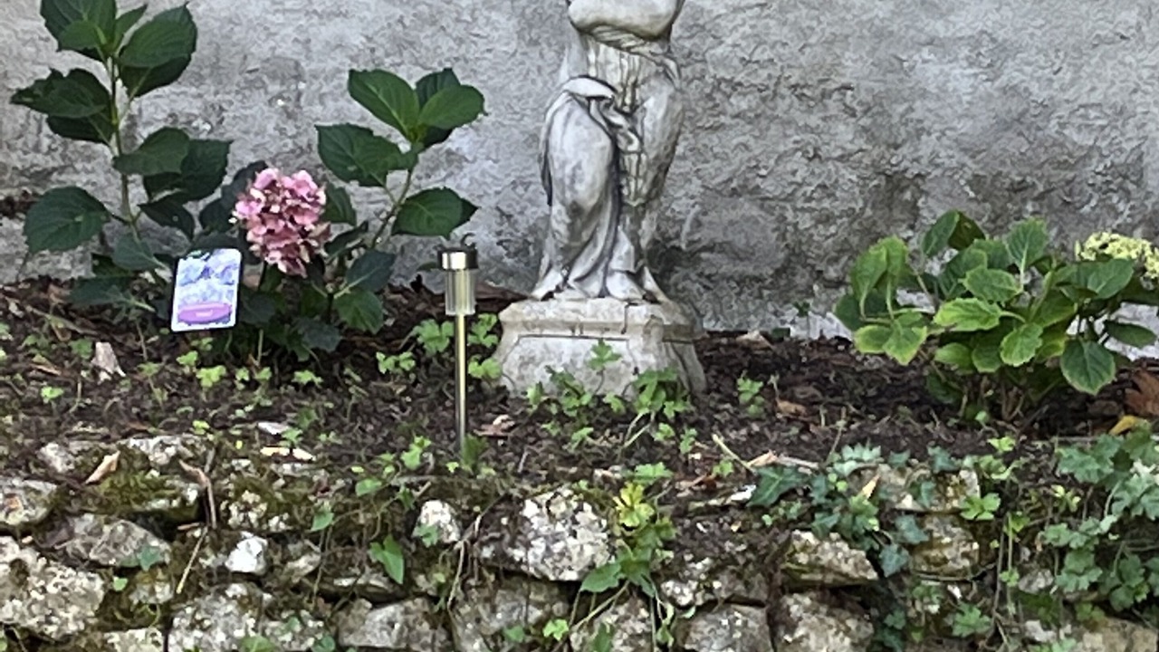 Photo of Outdoor in Verteuil-sur-Charente
