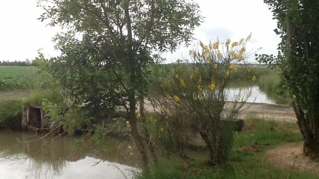 Photo of Outdoor in Cire-dAunis