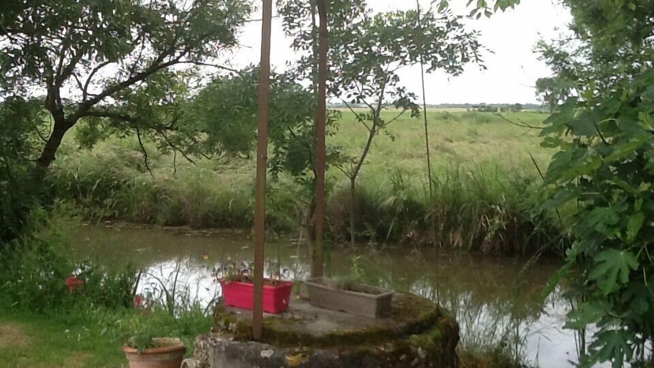 Photo of Outdoor in Cire-dAunis
