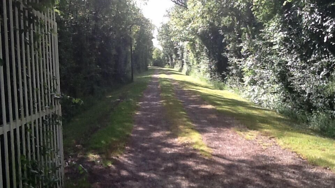 Photo of Outdoor in Cire-dAunis