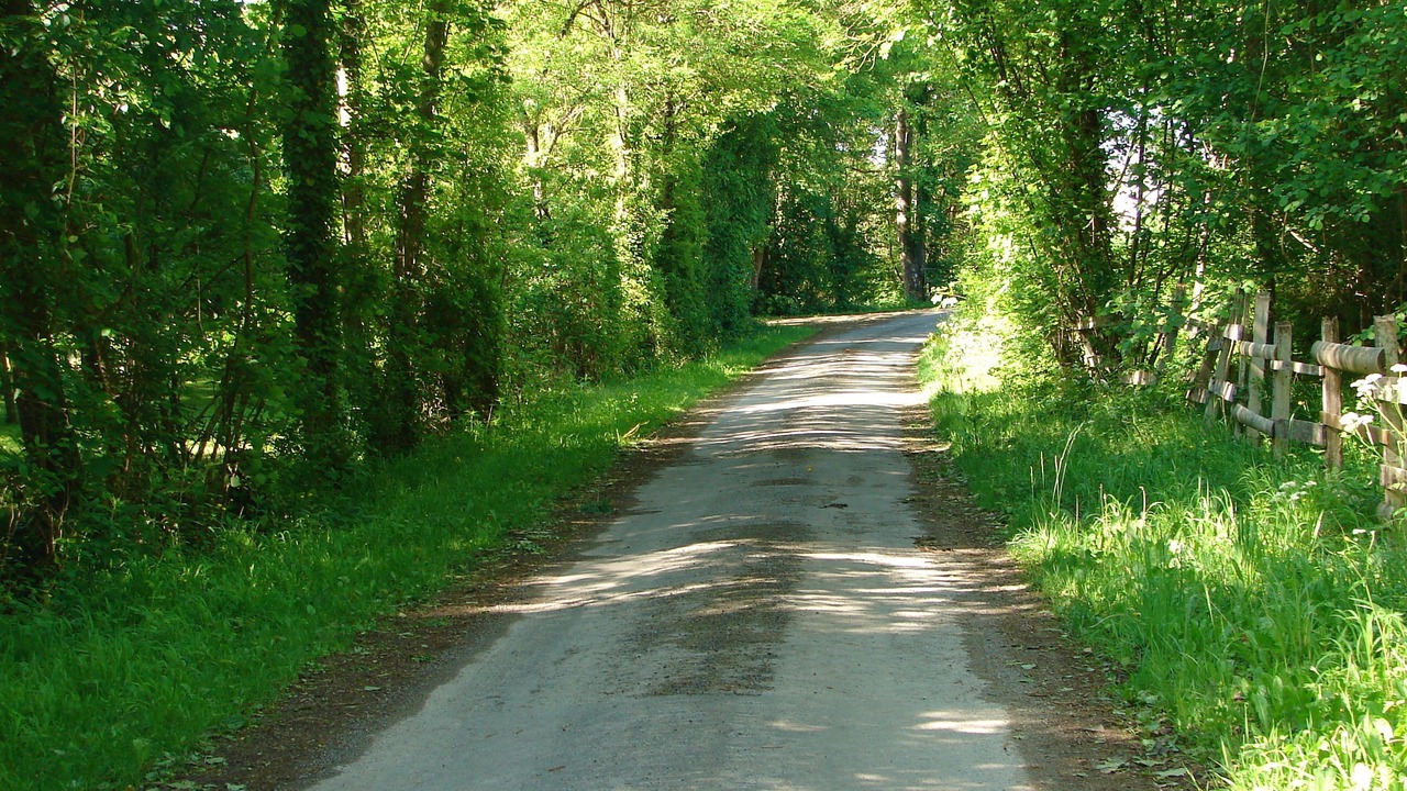 Photo of Outdoor in Saint Germain de Marencennes