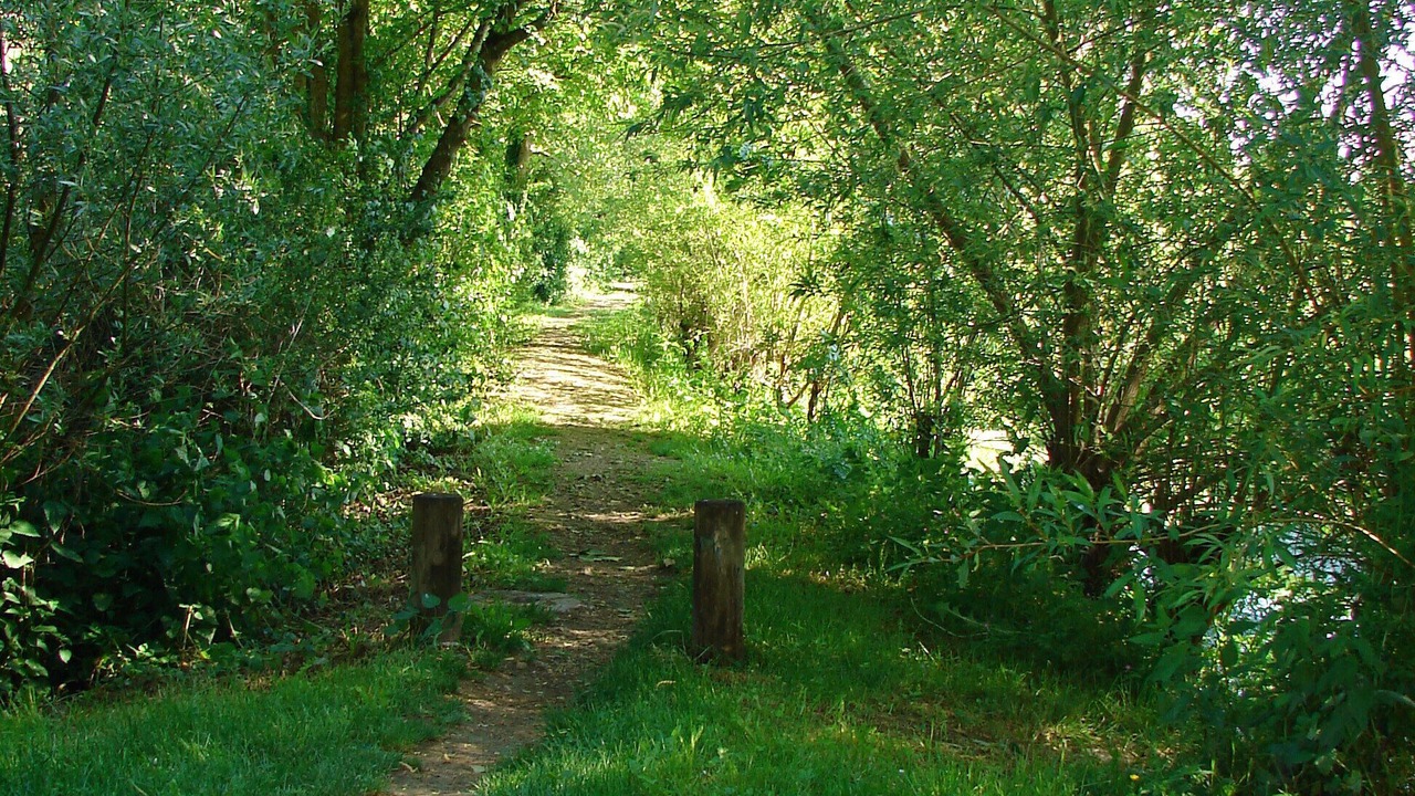 Photo of Outdoor in Saint Germain de Marencennes