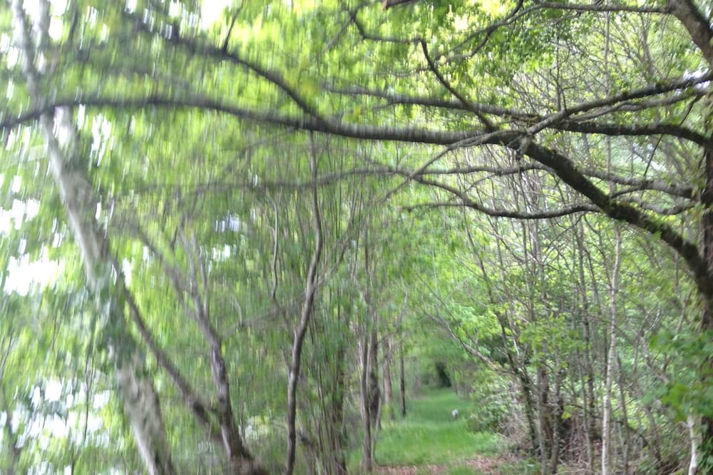 Photo of Outdoor in Ladignac le Long