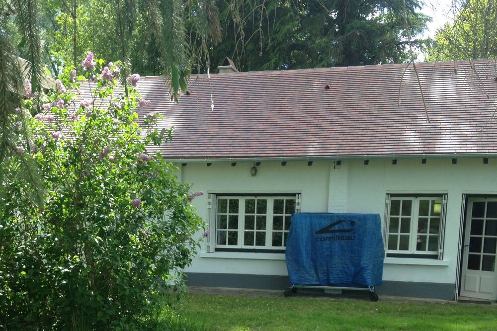 Photo of Outdoor in Ladignac le Long