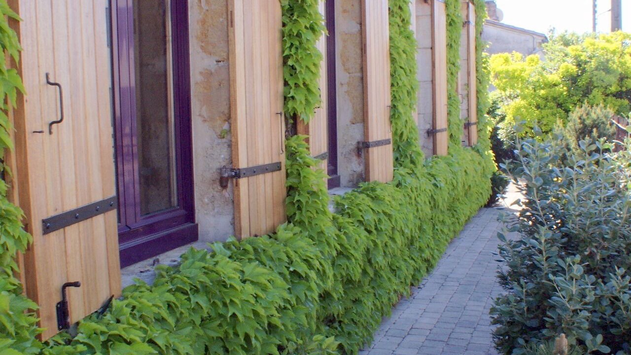 Photo of Outdoor in Saint-Medard-en-Jalles