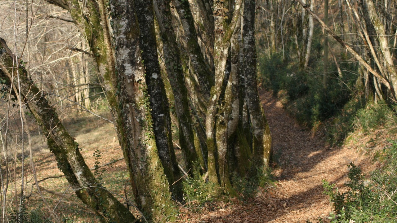 Photo of Outdoor in Proissans