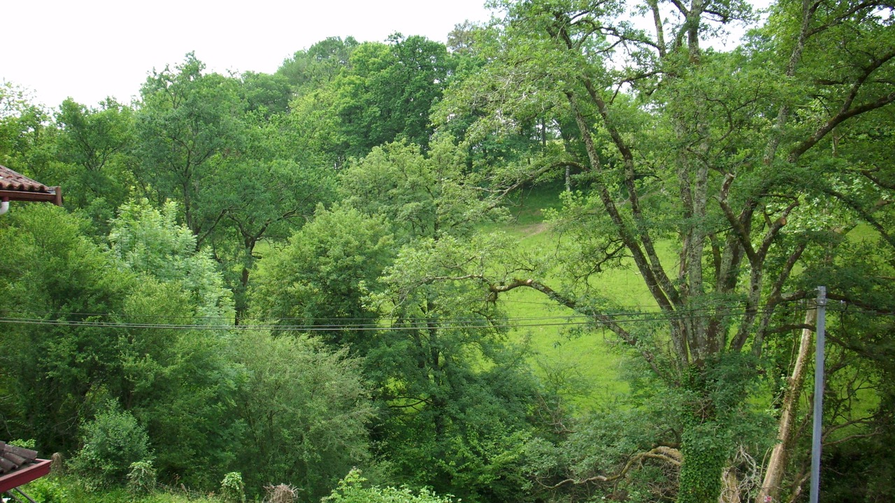Photo of Outdoor in Garindein