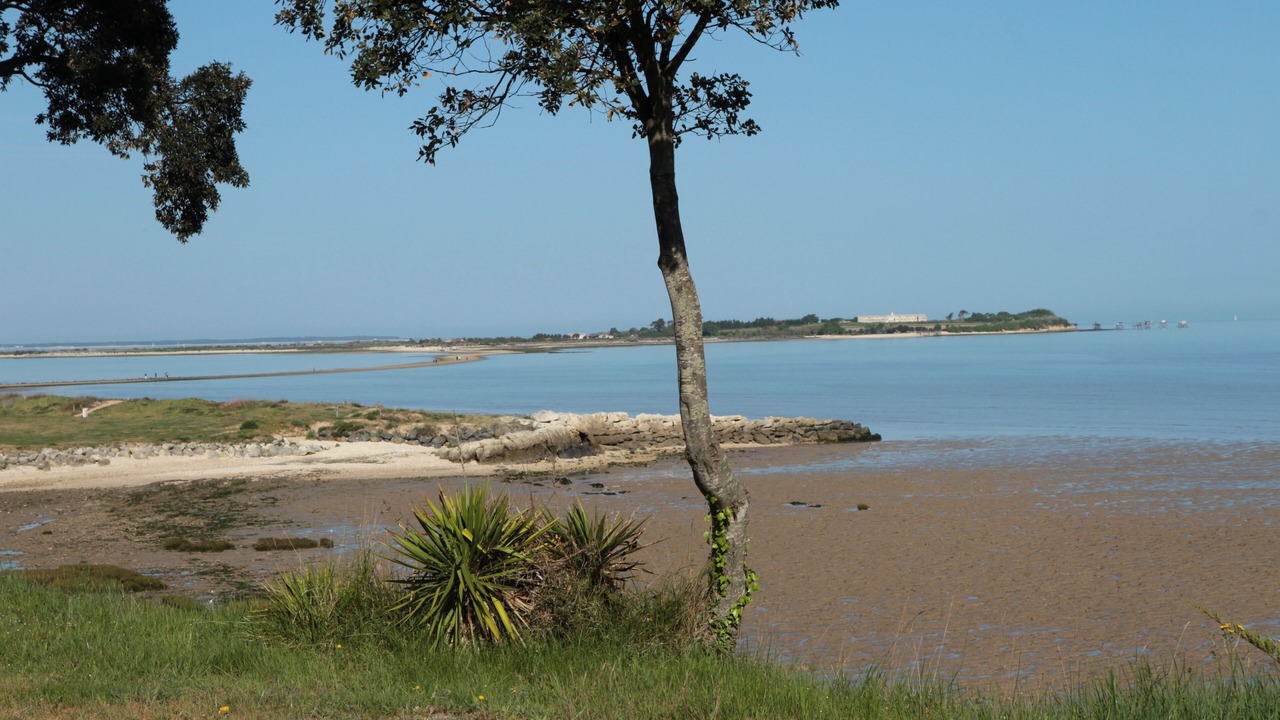 Photo of Others in Port-des-Barques