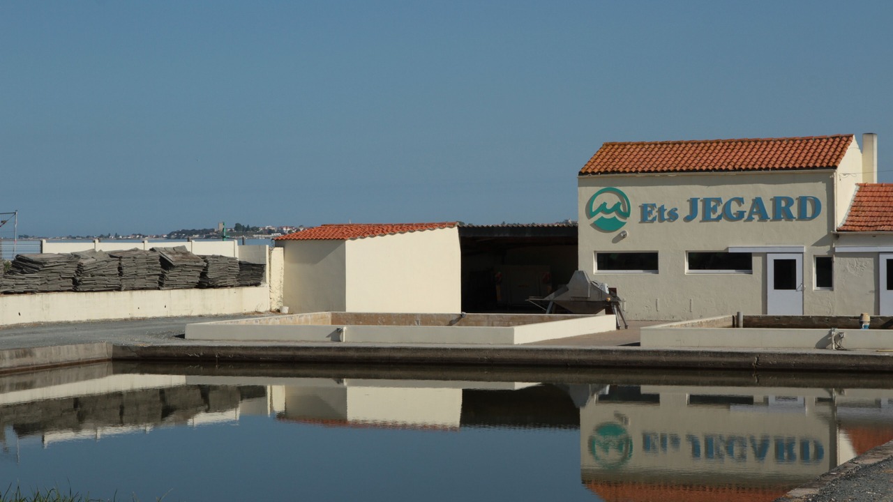 Photo of Outdoor in Port-des-Barques