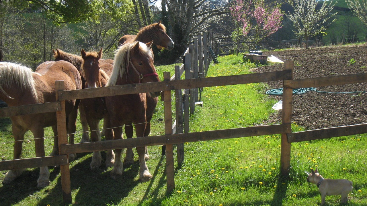 Photo of Outdoor in Arrast-Larrebieu