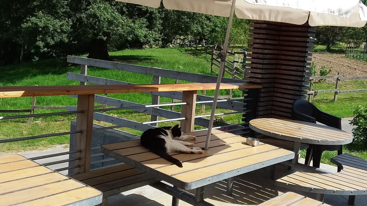 Photo of Patio Balcony in Arrast-Larrebieu
