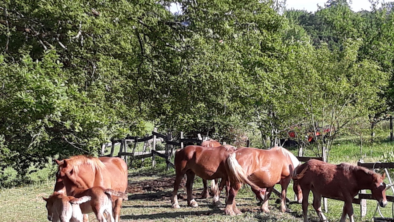 Photo of Outdoor in Arrast-Larrebieu