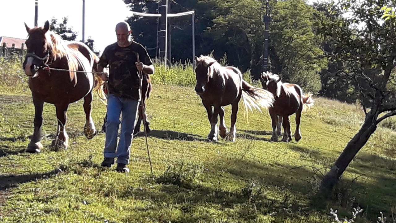 Photo of Outdoor in Arrast-Larrebieu