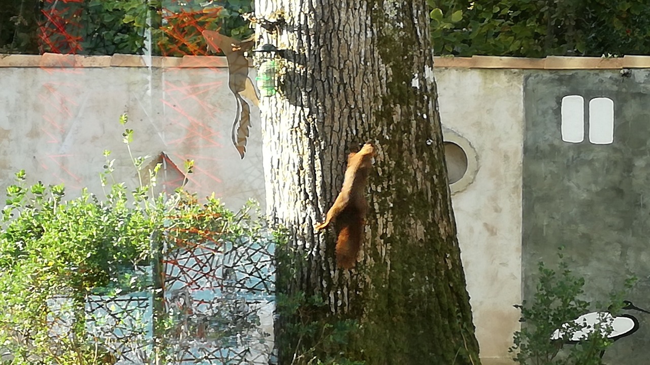 Photo of Outdoor in Breuillet