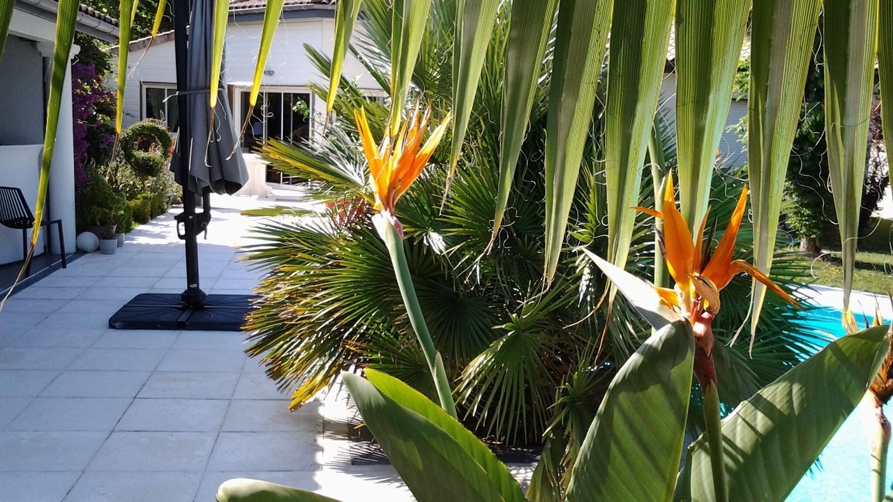 Photo of Outdoor in Breuillet