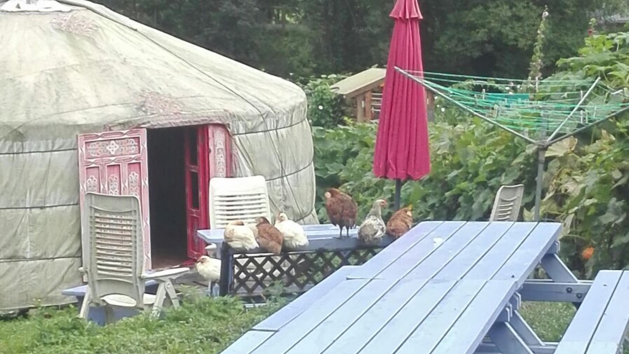 Photo of Outdoor in Lanne-en-Baretous