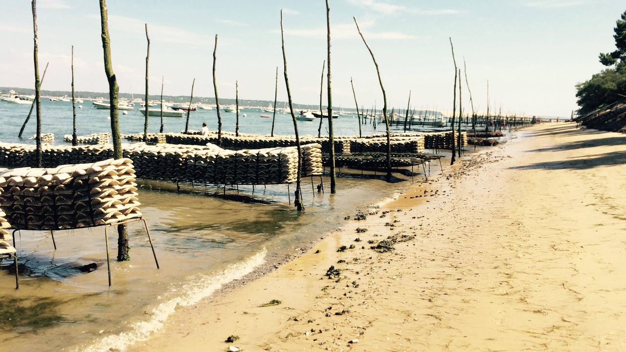 Photo of Others in Cap-Ferret