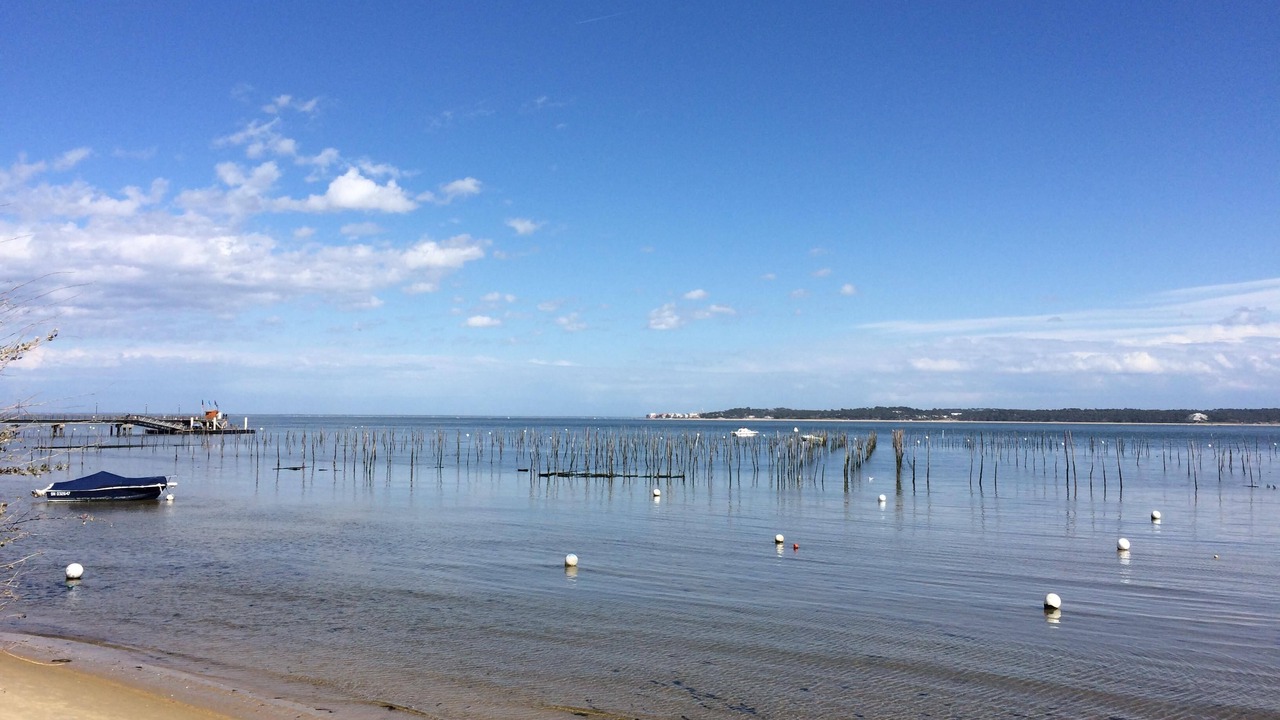 Photo of Others in Cap-Ferret