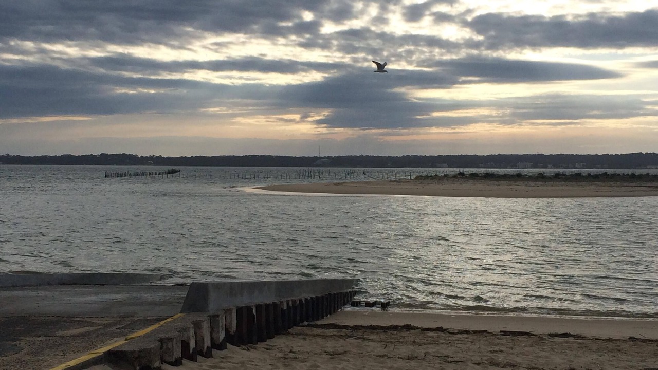 Photo of Others in Cap-Ferret