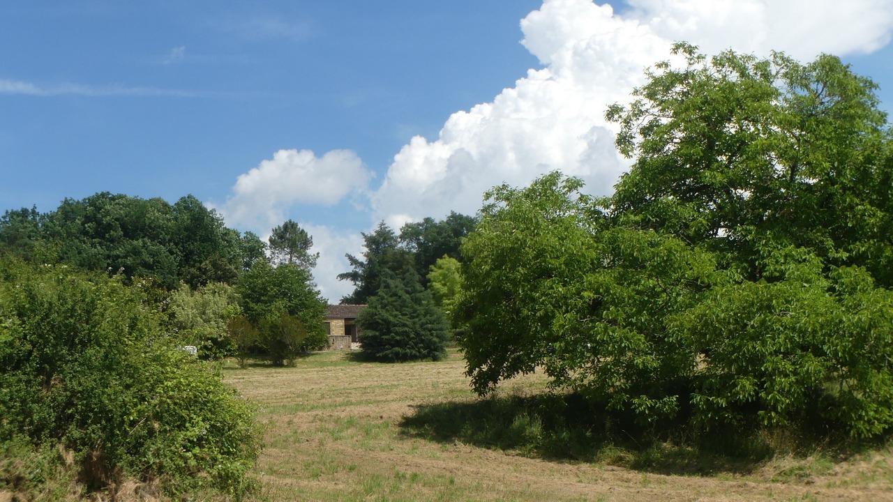 Photo of Outdoor in Beynac-et-Cazenac