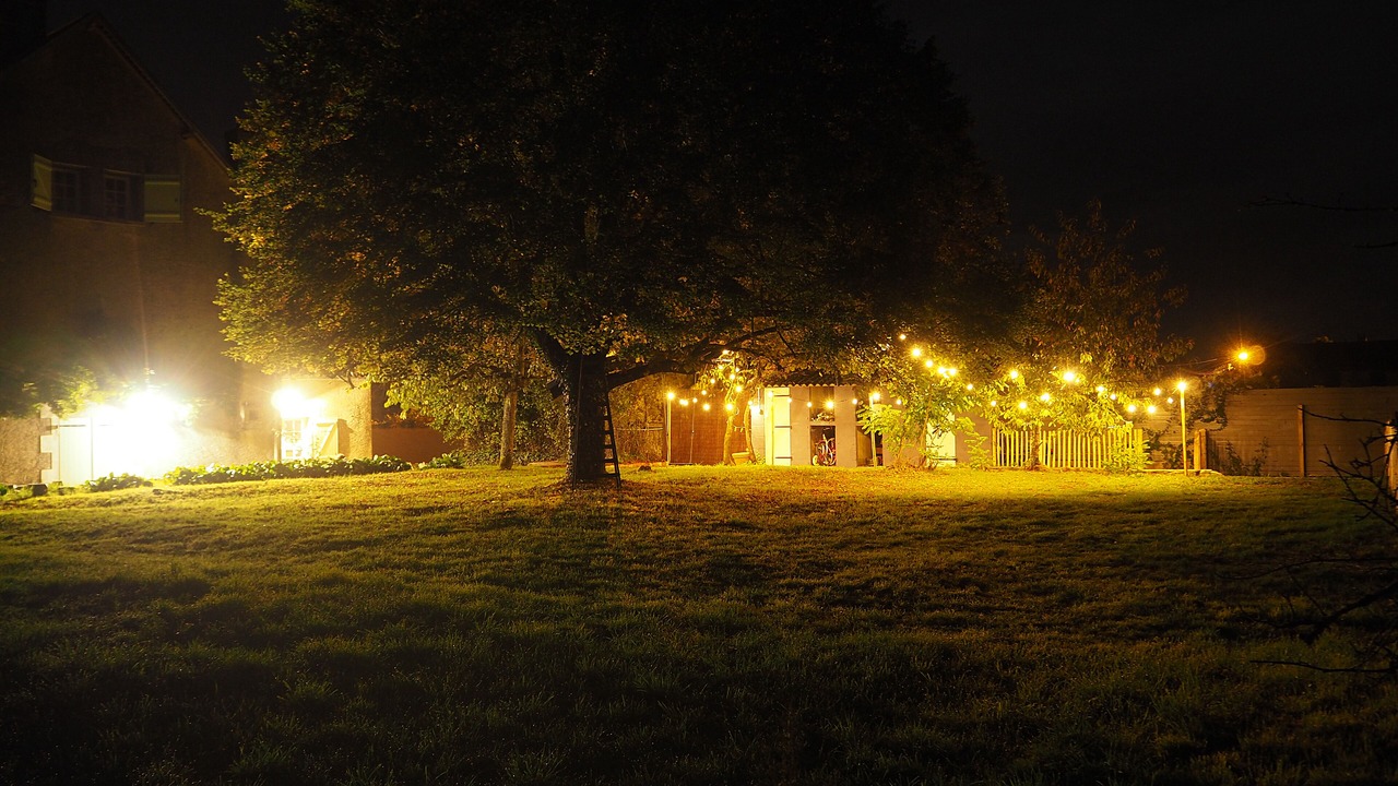 Photo of Outdoor in Persac