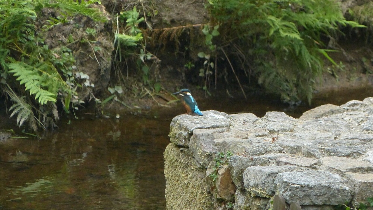 Photo of Outdoor in Busserolles