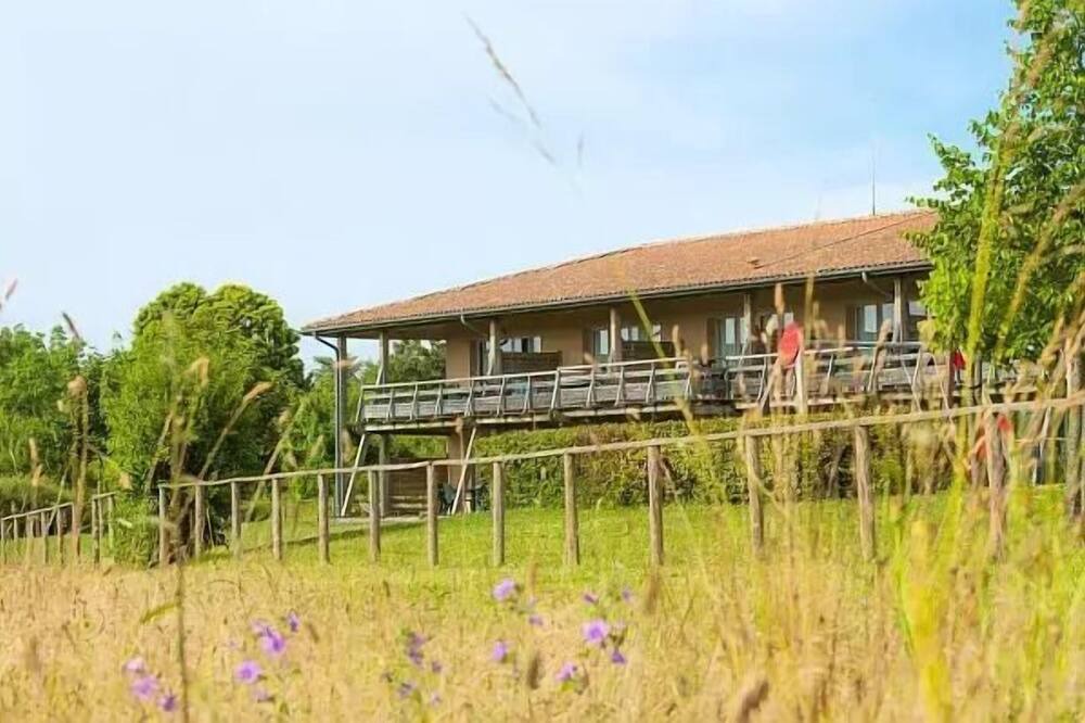 Photo of Outdoor in Jonzac