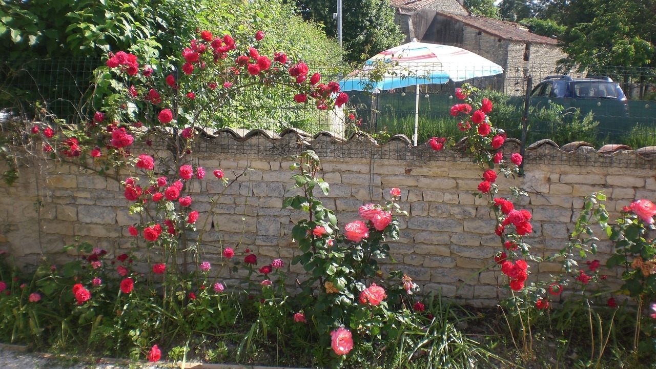 Photo of Outdoor in Vallans