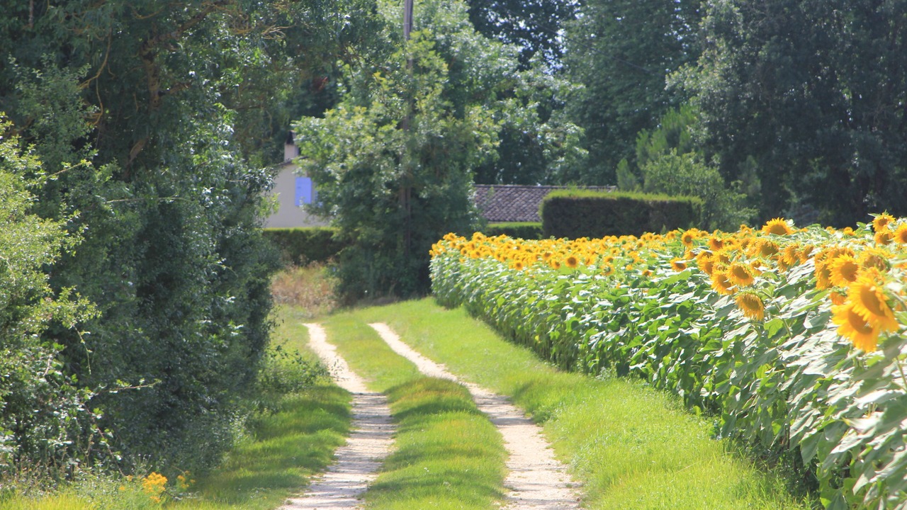 Photo of Outdoor in Issigeac