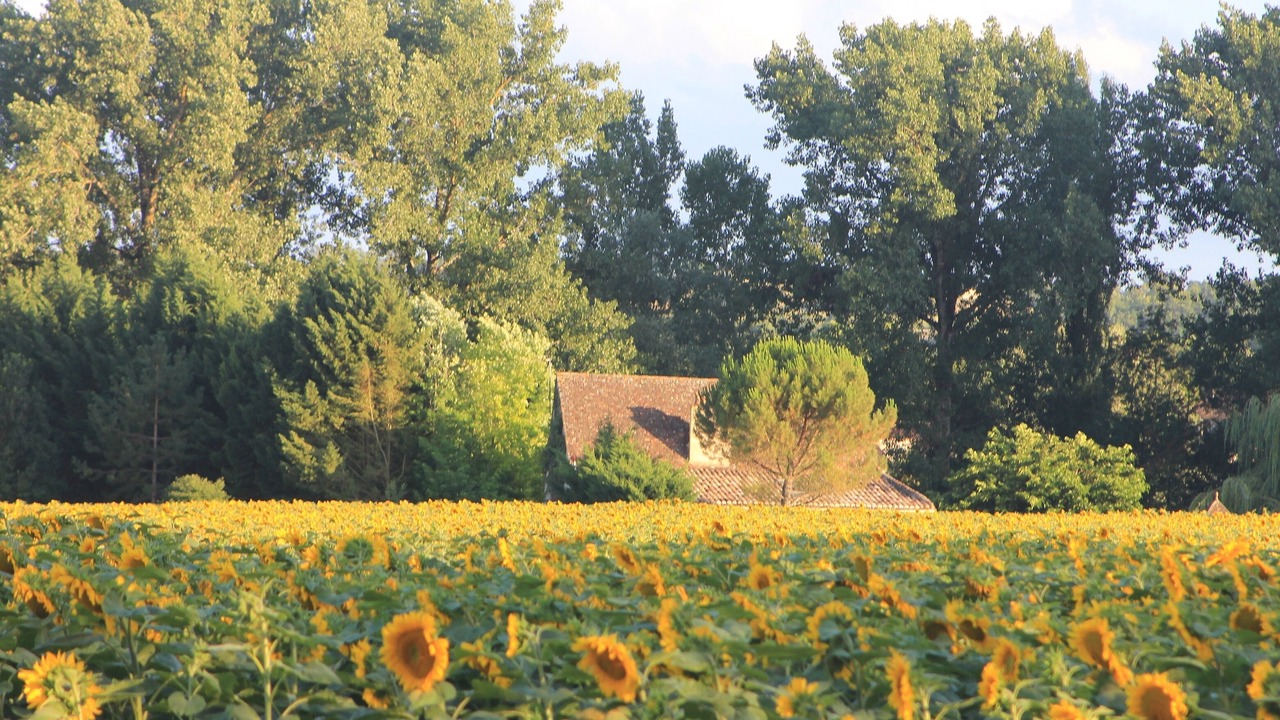 Photo of Outdoor in Issigeac
