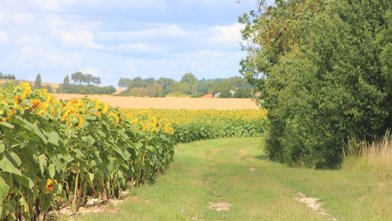 Photo of Outdoor in Issigeac