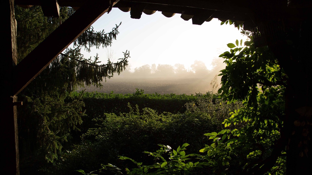 Photo of Outdoor in Landerrouet-Sur-Segur