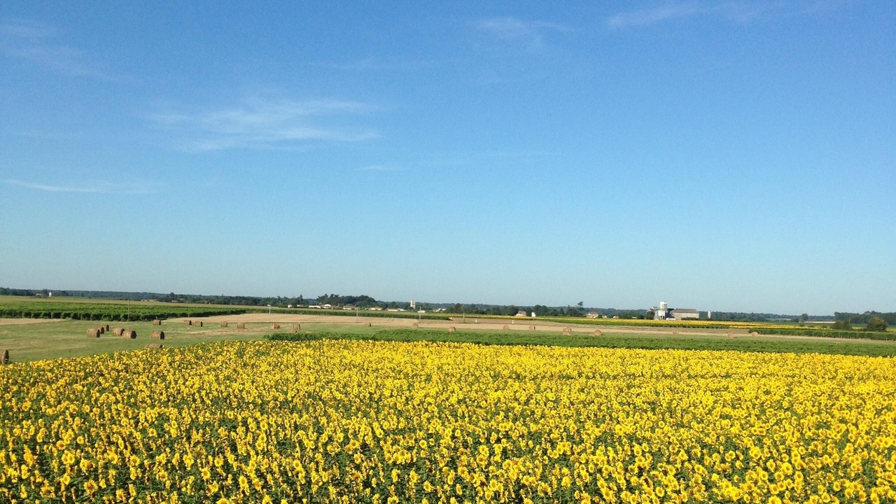 Photo of Outdoor in Saint-Quantin-de-Rancanne
